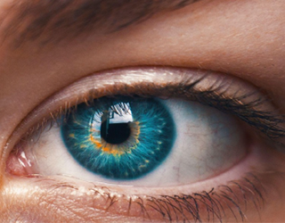 Case study: Intravitreal Injection Pre-filled Syringe Optimization Studies